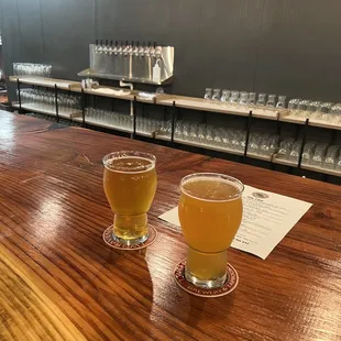 two glasses of beer on a bar