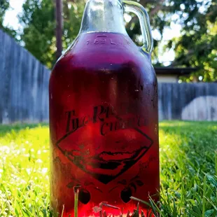 Growler fills are very affordable and so convenient for togo options!