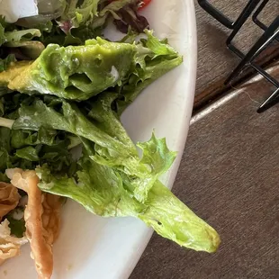 Rancid Avocado on the dish. You can tell it is bad looking at it (never mind the smell). Chef, expediter, and server all saw it.