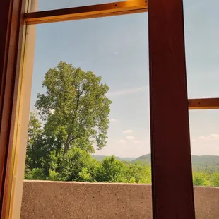 a view of a tree from a window