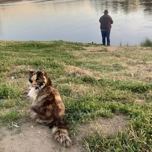 Cali supervising