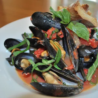 Mussels
