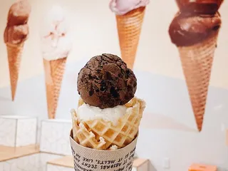 Jeni's Splendid Ice Creams