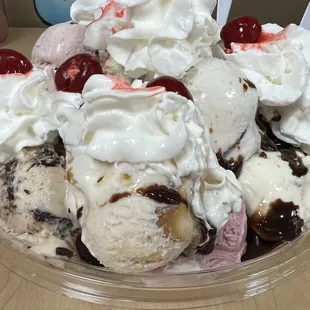 Bird Feeder (20 scoops plus whip and cherries)