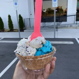 Double scoop in a waffle bowl (&quot;Cookies by the Sea&quot; &amp; &quot;Cookie Monster&quot;)