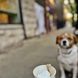 Puppachino