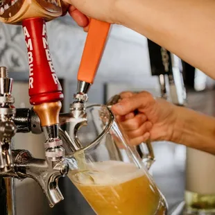 Beer on tap
