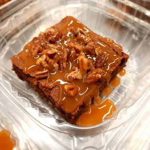 Turtle Brownie