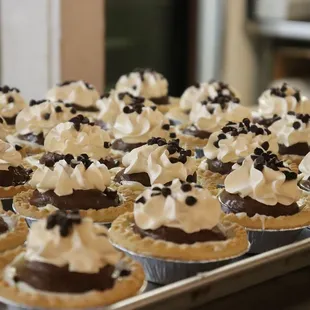 chocolate cupcakes with whipped cream and chocolate chips