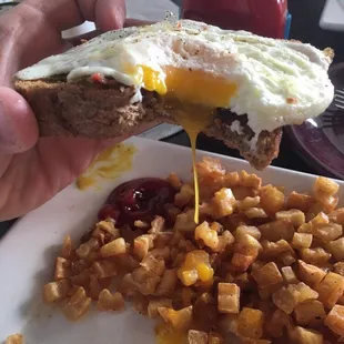 sandwiches, sandwich, food