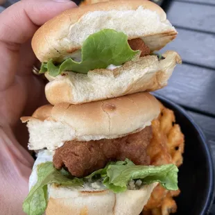 Buffalo chicken sliders