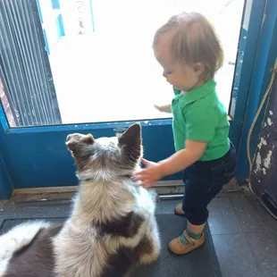 Playing with the shop pup.