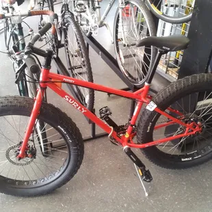 Surely fat bike