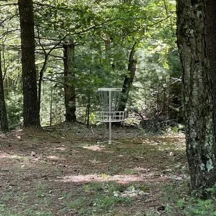 a frisbee golf basket in the woods