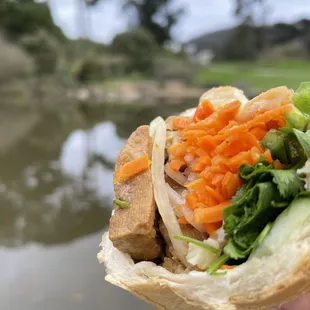 Ty Sandwich