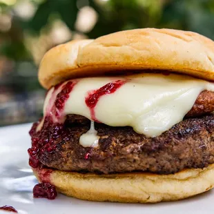 a hamburger with cheese and cranberry sauce