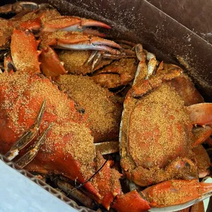 Tyler's Tackle Shop & Crab House