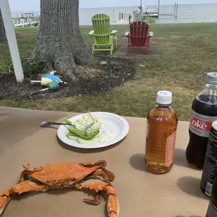 Bayside ambiance for crab feast
