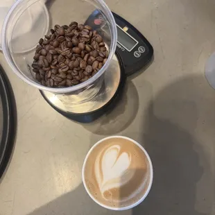 Cappuccino