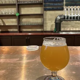 a glass of beer on a bar