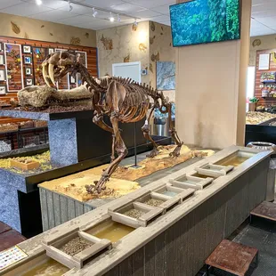 Check out the sluice and sabertooth cat replica!