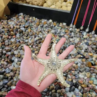 A pretty starfish ornament I got for my tree.