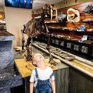 Come experience the magic today!