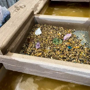 So many treasures to uncover in the sluice! Try one of the many excavation packages available.