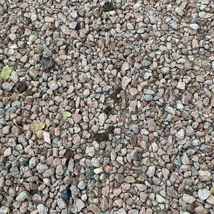 Dog feces from the previous renter