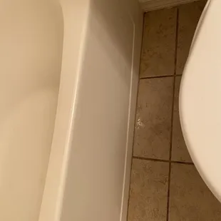 The cleaned bathroom floor