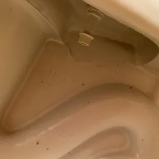 Yup, that's urine and feces "flakes" on the "cleaned" toilet