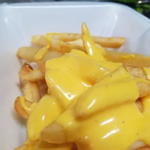 Delicious cheesy fries!