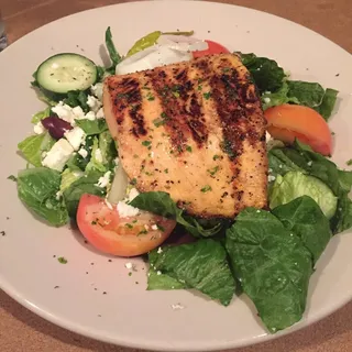 Salmon