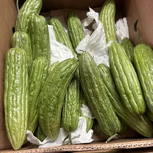 Bittermelon