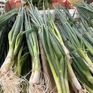 Green onion