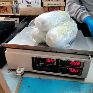 Won Bok (Chinese cabbage) AKA Napa Cabbage