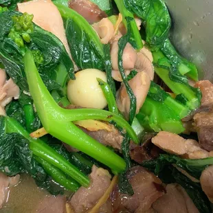 Close up of the GAI LAN