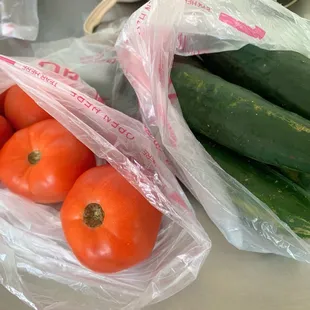 Tomatoes and Japanese Cucumbers