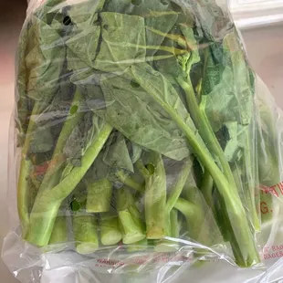 GAI LAN, Chinese broccoli