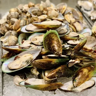 oysters, mussels, shellfish, food, oysters and mussels