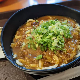 Curry Soup Udon large