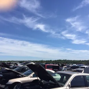 Lots of vehicles. Pretty organized!