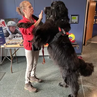 Angel, The water rescue dog with me getting ready to see the movie superpowerdogs