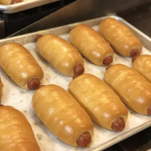 Fresh baked sausage and cheese kolaches