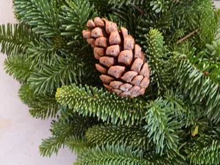 Valley View Christmas Tree Farm