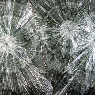 I could look at just this piece alone for an hour.