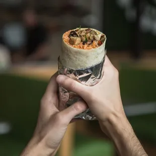 a hand holding a burrito