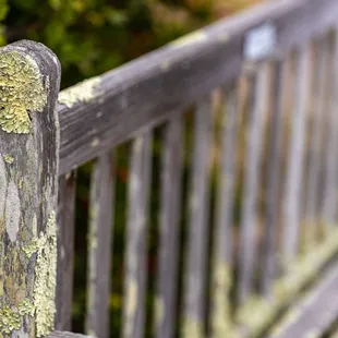 UC Botanical Garden at Berkeley