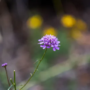 UC Botanical Garden at Berkeley