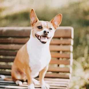 Good amount of benches to sit and relax